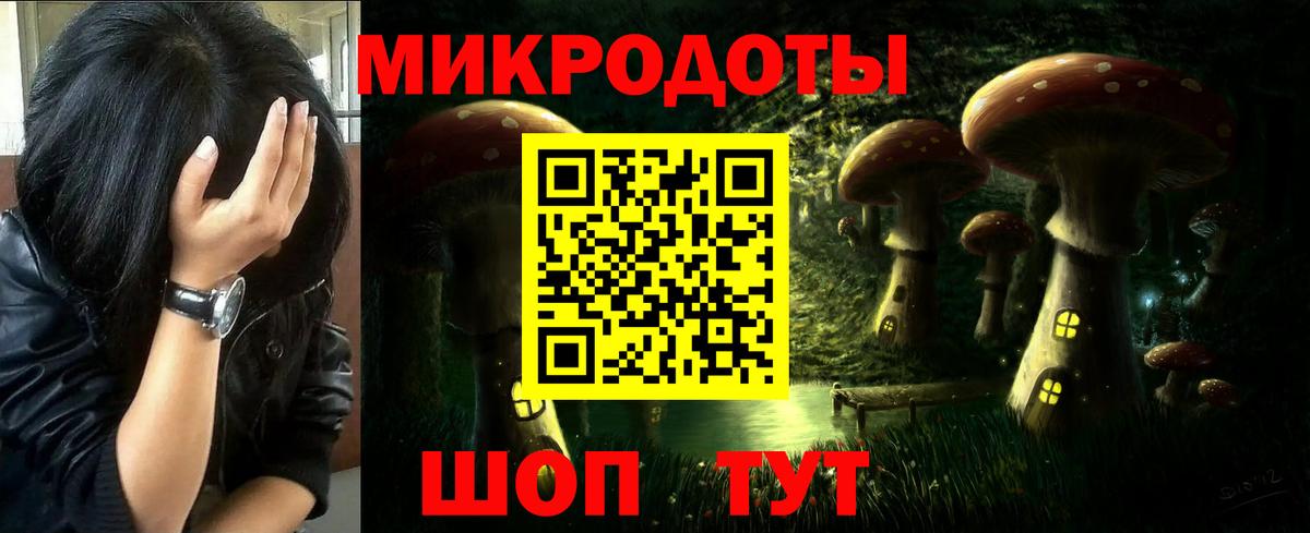 Псилоцибиновые грибы Cubensis Северобайкальск